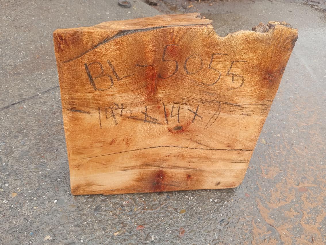 Myrtle burl | DIY wood crafts | bowl turning | craft wood | bl5055