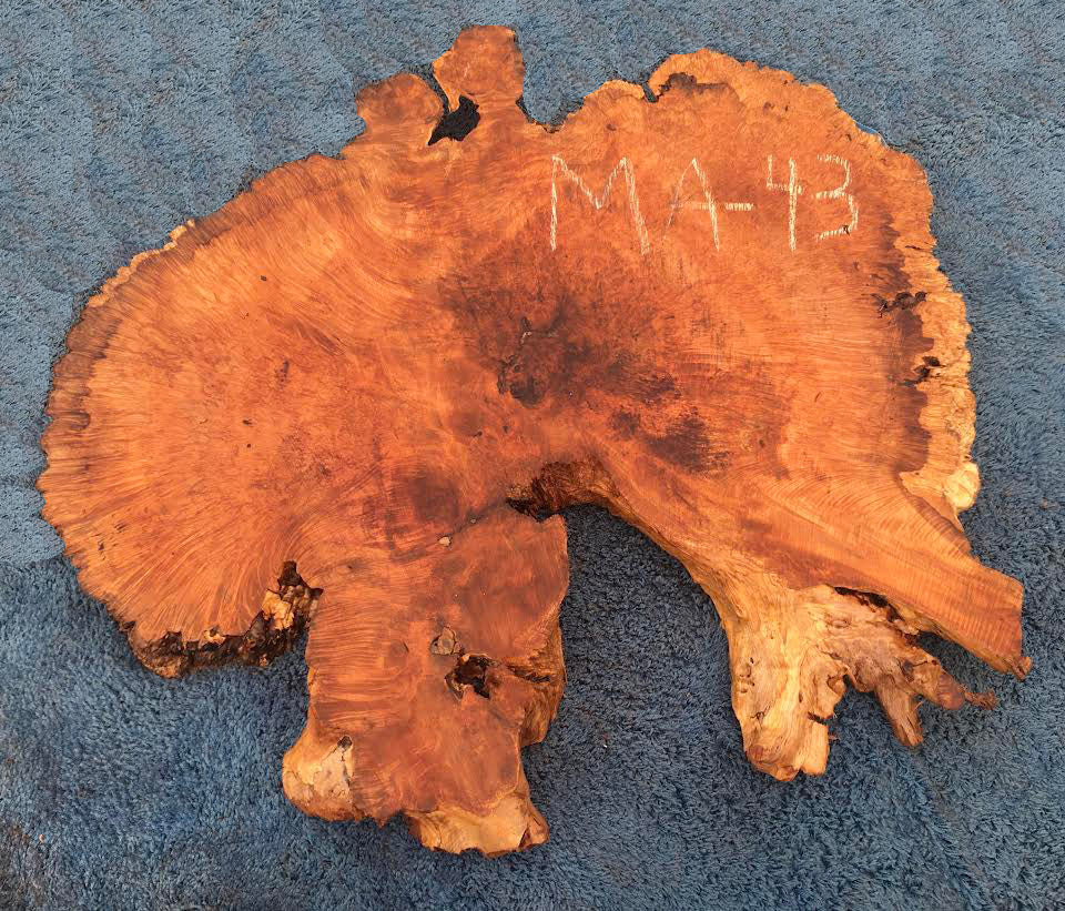 Maple burl | cookie cut | craft woods | DIY | river table | ma-43