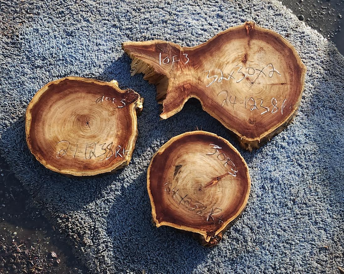 Poplar slab | live edge | cookie cut | river table | 24-1238-p