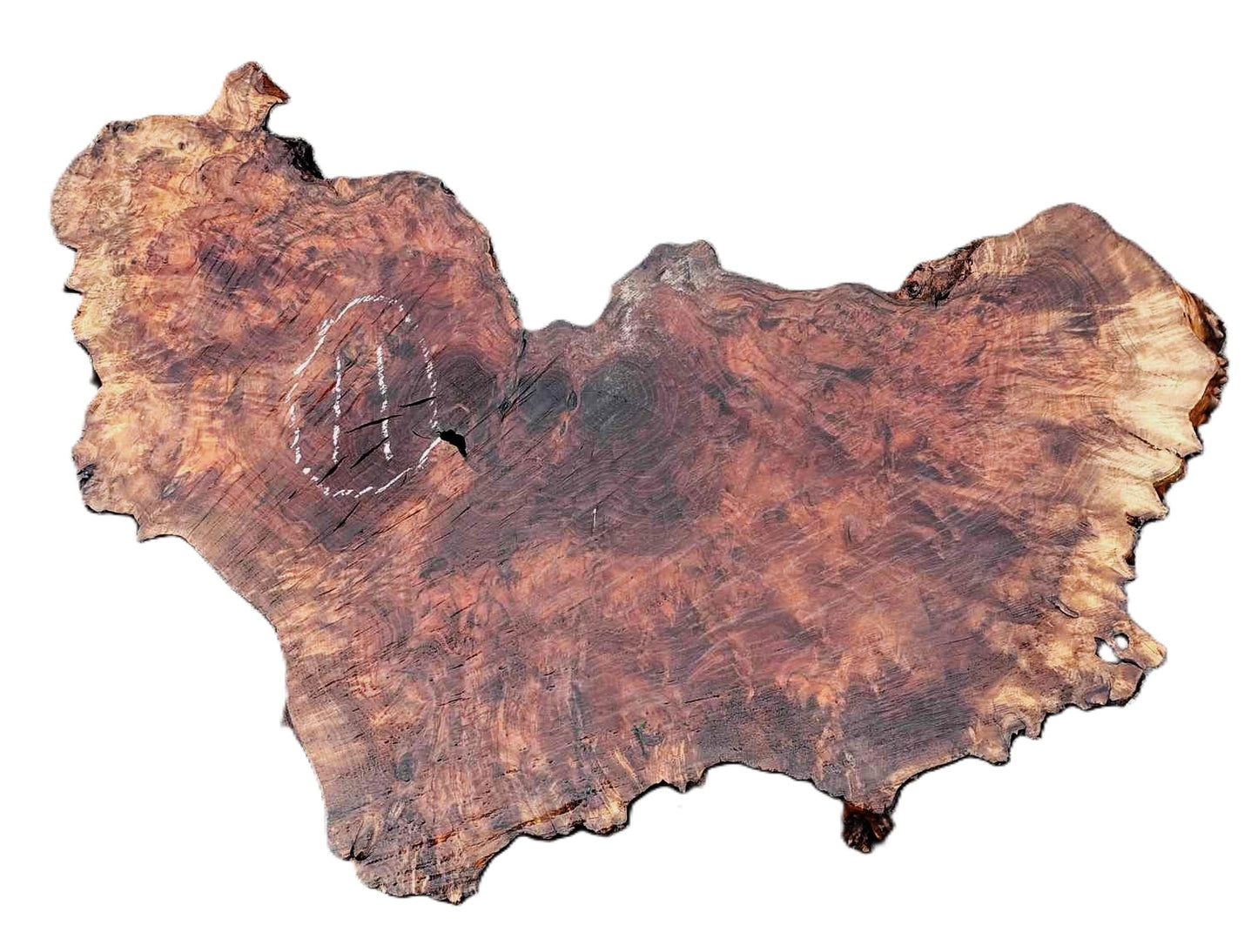 Black Walnut | DIY | Live Edge | burl table | River Table | Wal24-00011