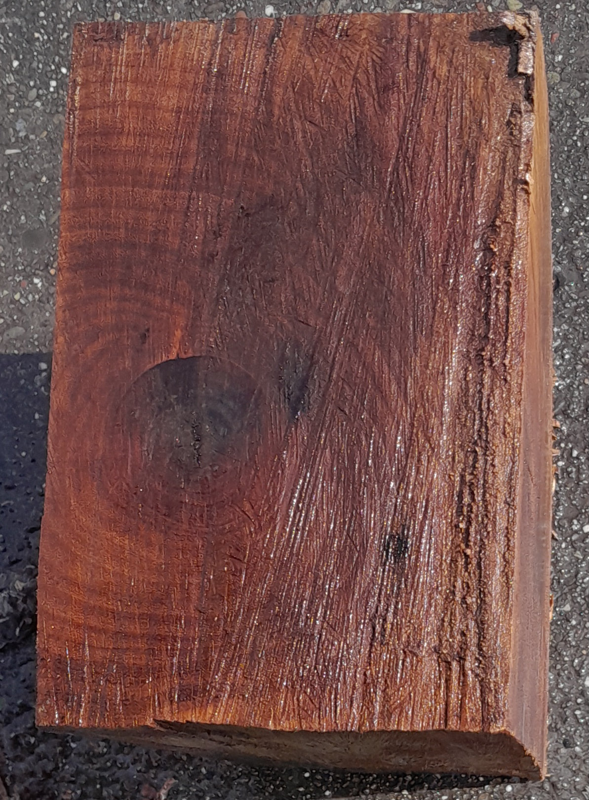 Myrtle blank | DIY craft wood | bl5067