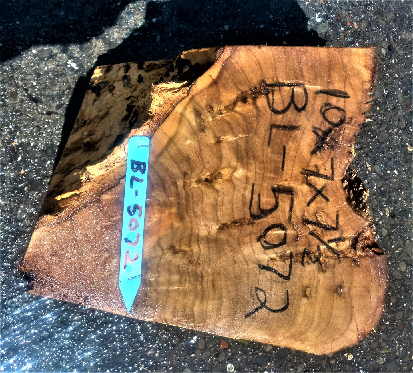 Myrtle burl | DIY wood crafts | bowl turning | craft wood | bl5072