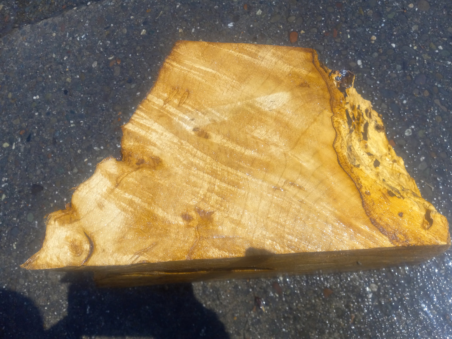Myrtle burl | DIY wood crafts | bowl turning | craft wood | bl5072