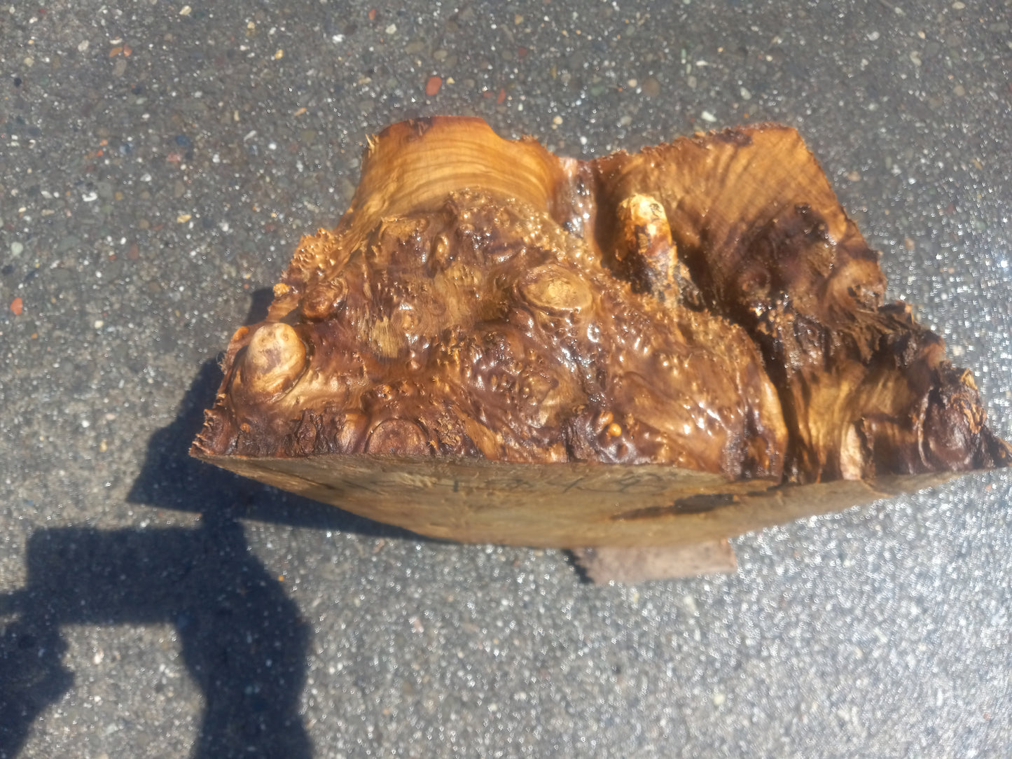 Myrtle burl | DIY wood crafts | bowl turning | craft wood | bl5072
