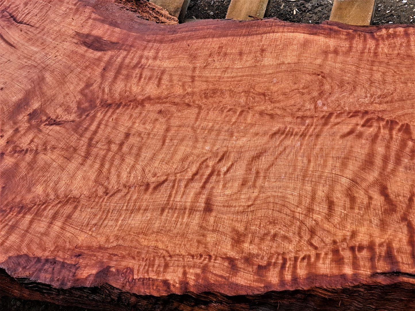 curly redwood l epoxy river table | live edge slab | Headboard | r-415