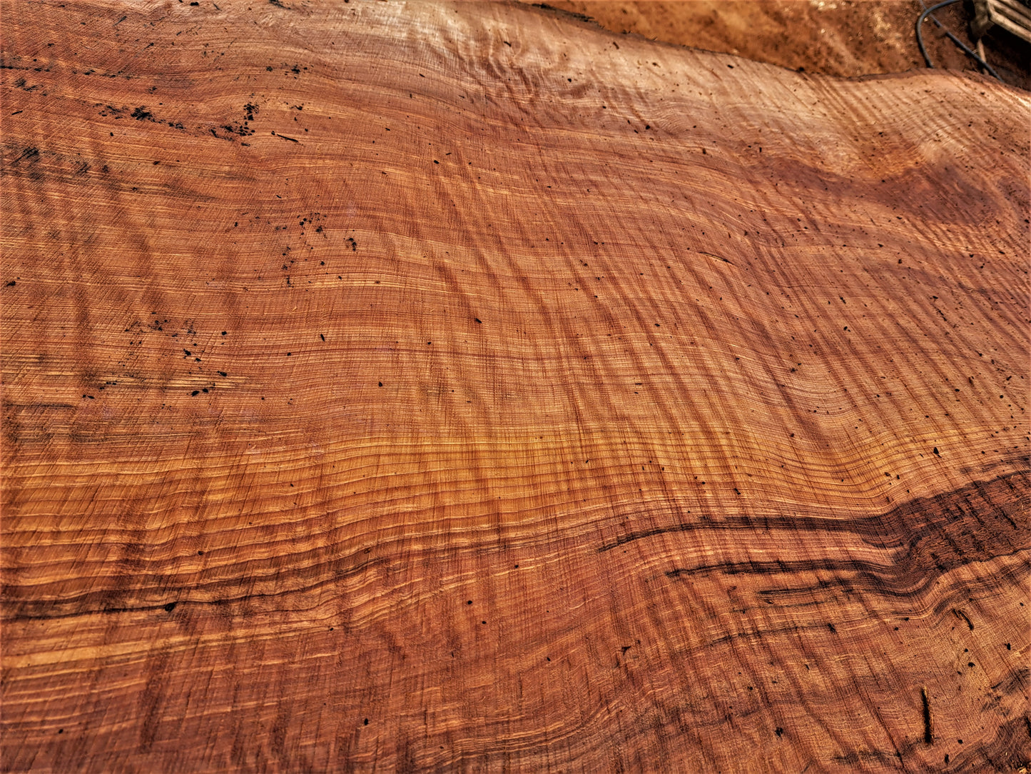 curly redwood l epoxy river table | live edge slab | Headboard | r-415