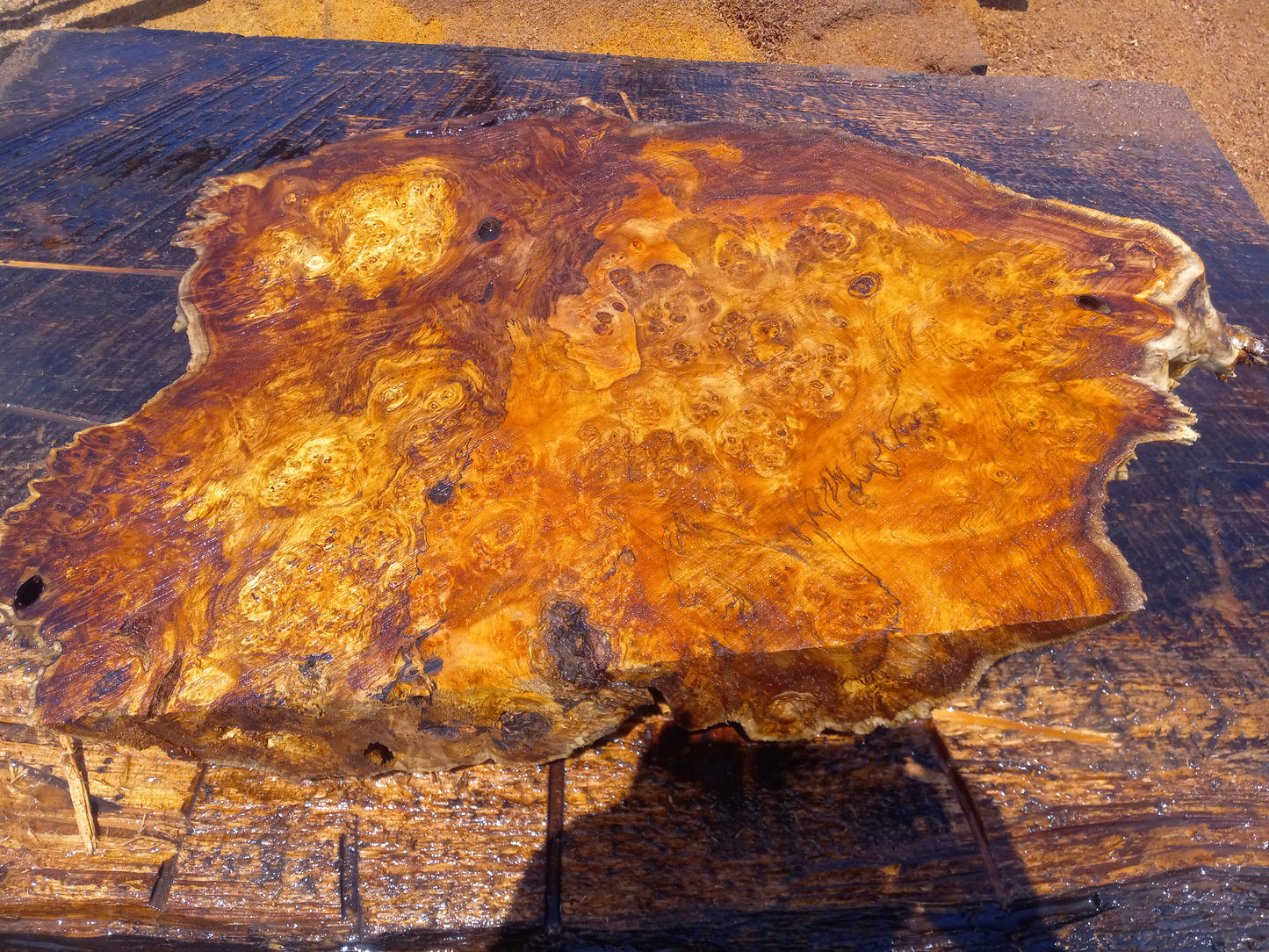 Poplar lace burl cap | bowl turning | DIY wood | live edge | p-10-cap