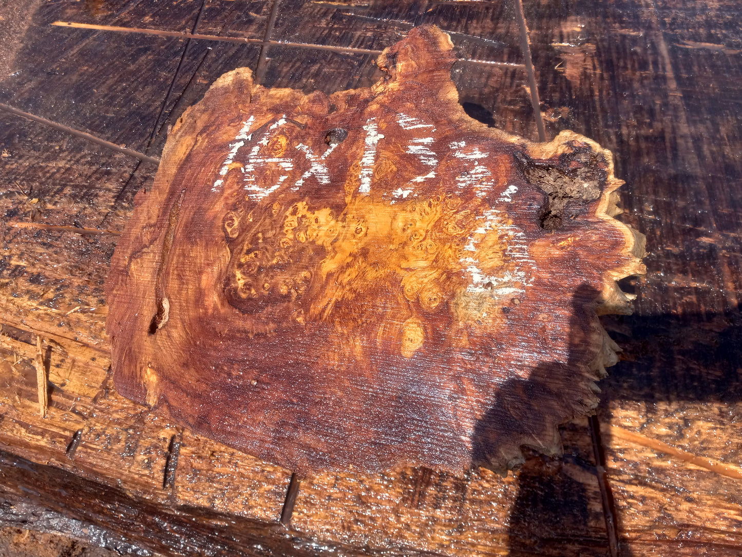 Poplar lace burl cap | bowl turning | DIY wood | live edge | p-11-cap