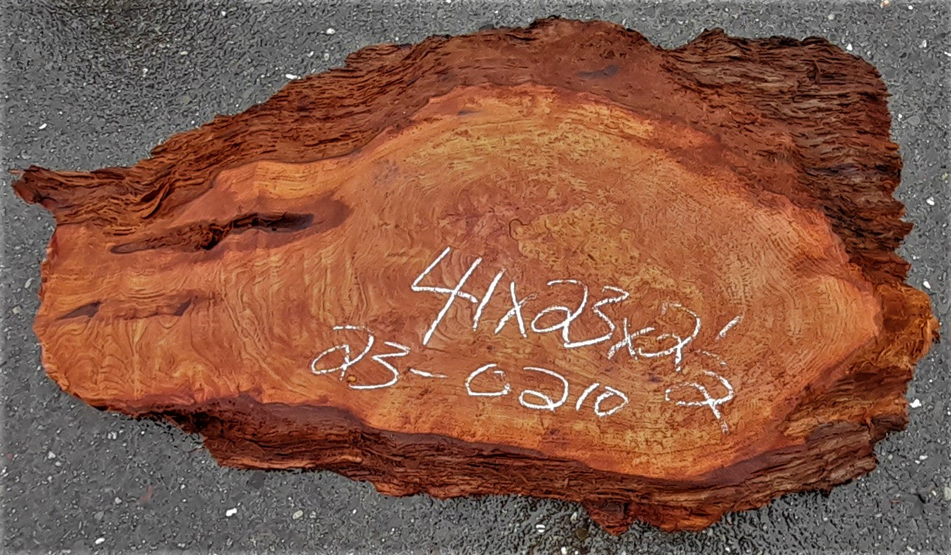 redwood lace burl | DIY crafts | guitar billet | r23-0210
