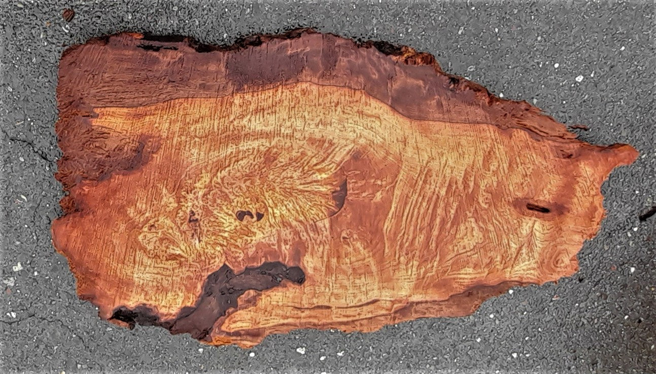 redwood lace burl | DIY crafts | guitar billet | r23-0210