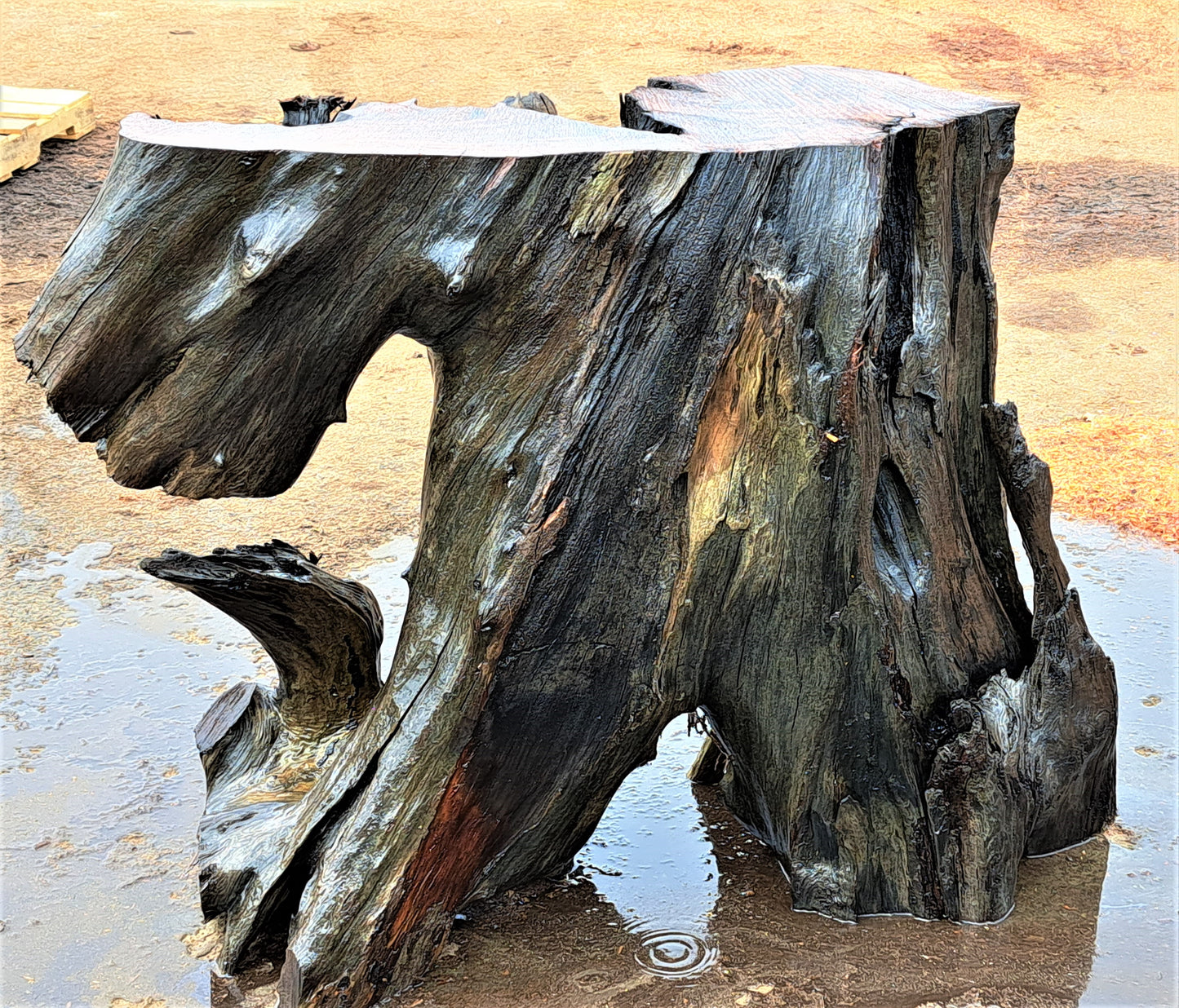 Bar counter base | Redwood base | live edge root base | barbase
