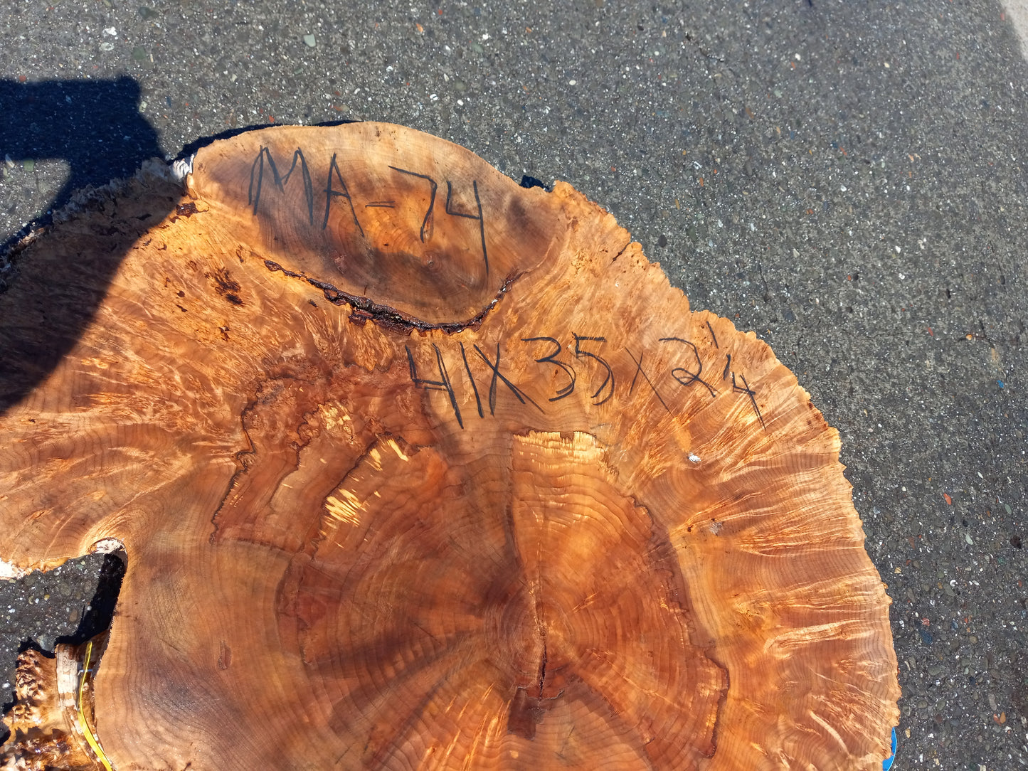 Maple burl slab | live edge | river table | burl table | ma74