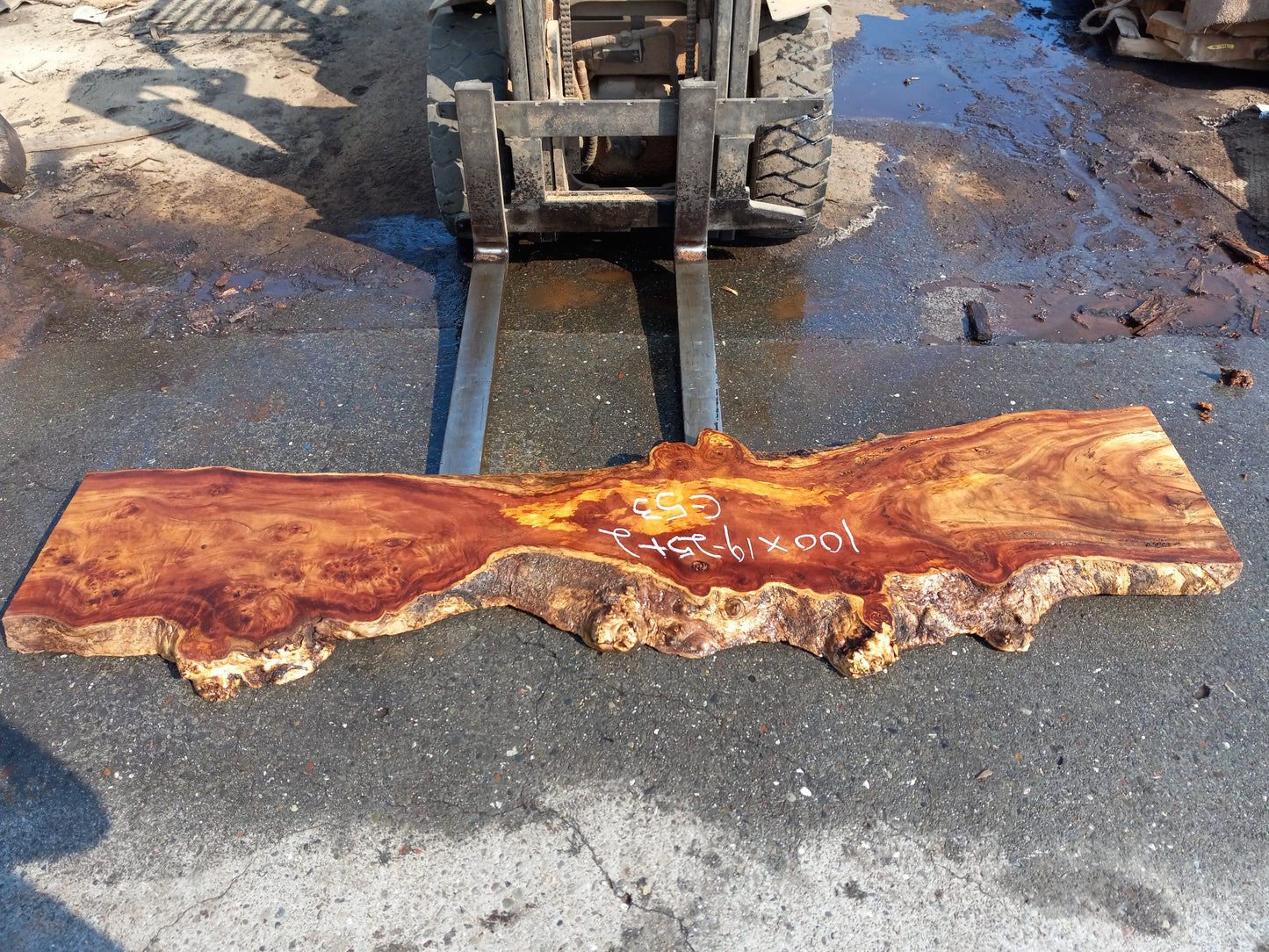 Mappa burl | Poplar | river table | live edge slab | DIY ideas | c53