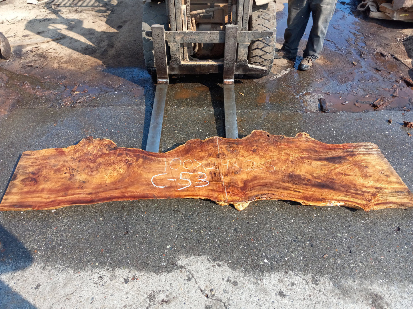 Mappa burl | Poplar | river table | live edge slab | DIY ideas | c53