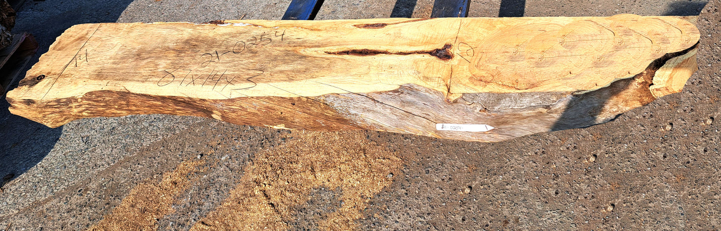 fireplace Mantel | hall table | live edge slab | craft wood | 21-0254mtl