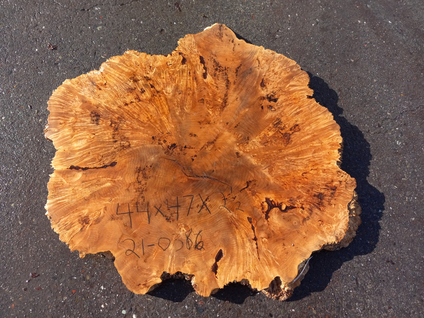 Maple burl | cookie cut | craft woods | DIY crafts | river table | 21-0386