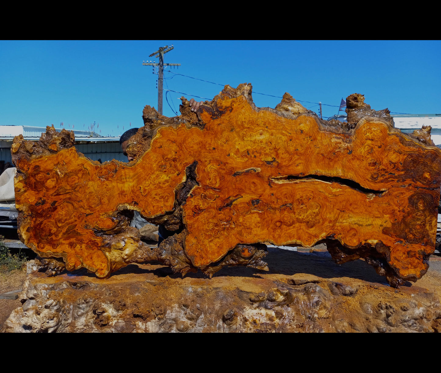 Mappa burl | Poplar | river table | live edge slab | DIY ideas | mappa-burl-12