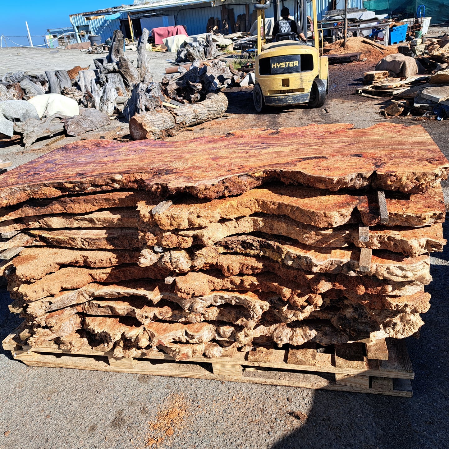 Mappa burl | Poplar | river table | live edge slab | DIY ideas | mappa-burl-12
