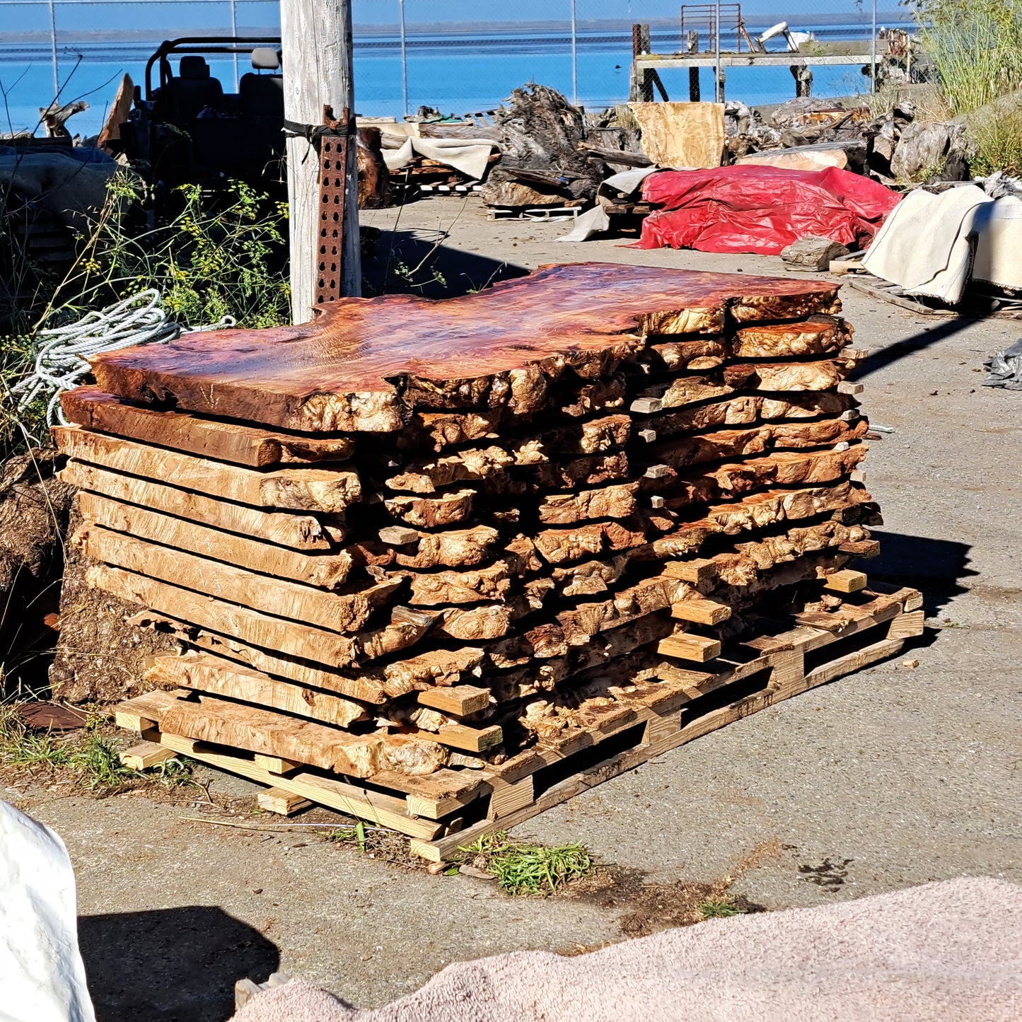 Mappa burl | Poplar | river table | live edge slab | DIY ideas | mappa-burl-12