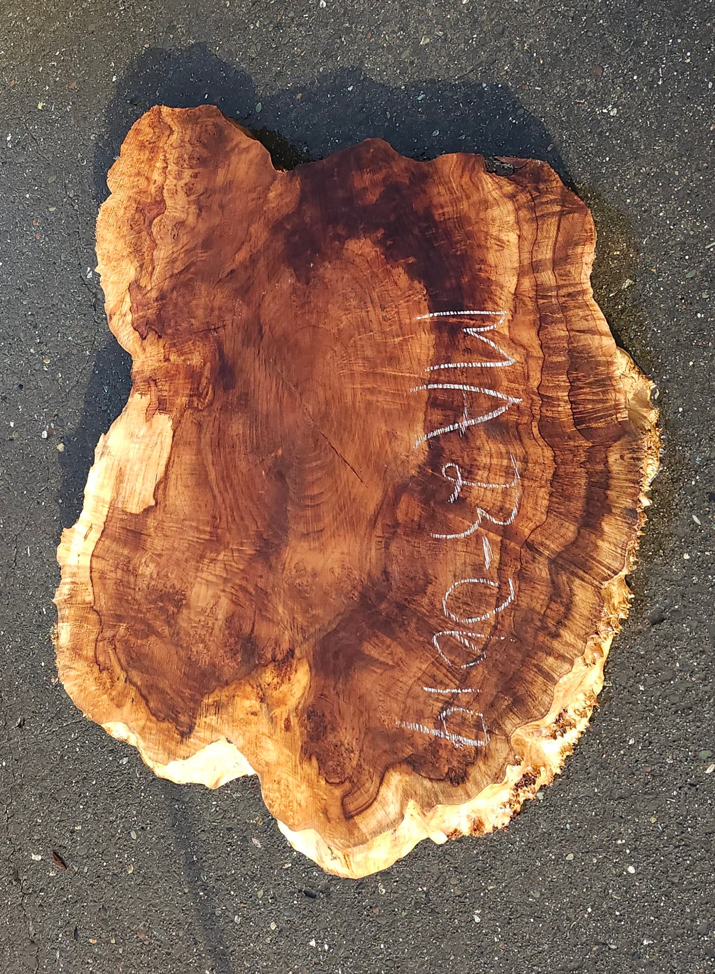 Maple burl | cookie cut | craft woods | DIY | river table | ma23-0619