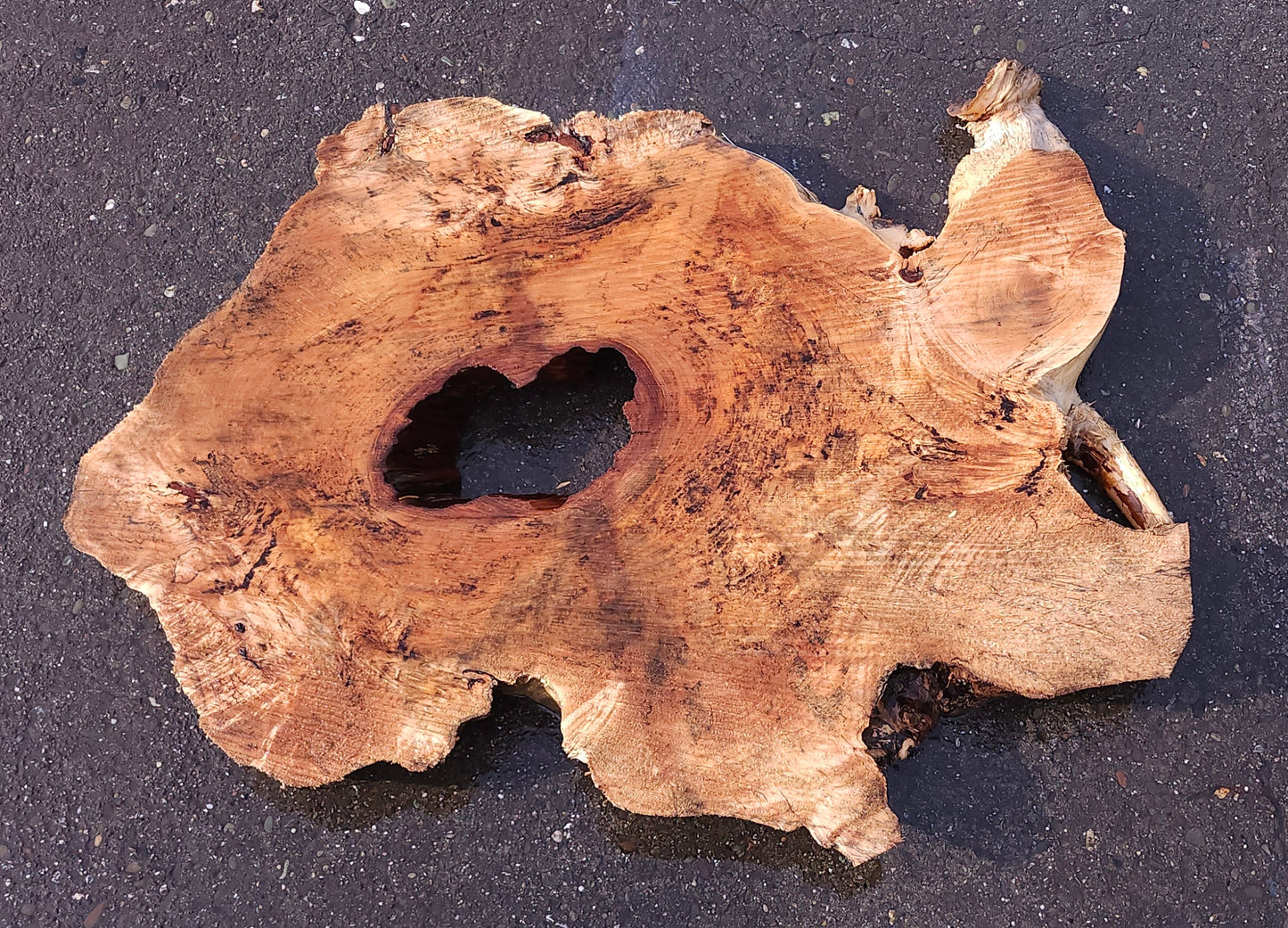 maple burl slab | craft woods | DIY | river table | live edge | ma23-0128