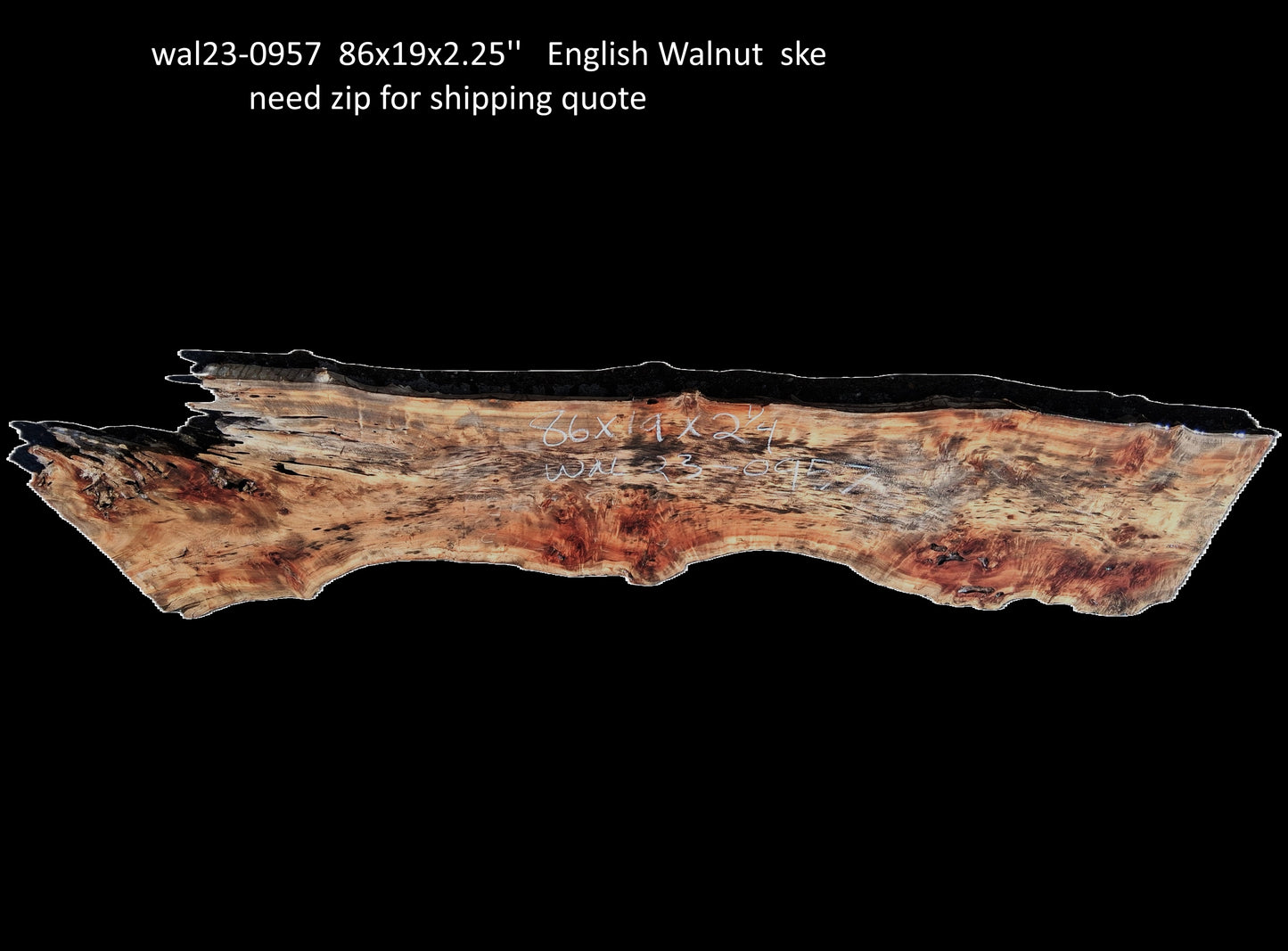 English Walnut Slab | Table | Counter | Live Edge Headboard | Wal23-0957