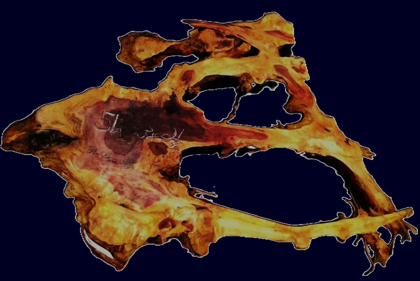 Redwood root | DIY | River Table | wall sculpture | Craft Wood | 21-0062