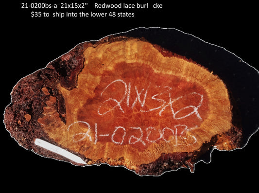 Redwood Burl | DIY Crafts | Burl Slab | Craft Wood | R21-0200