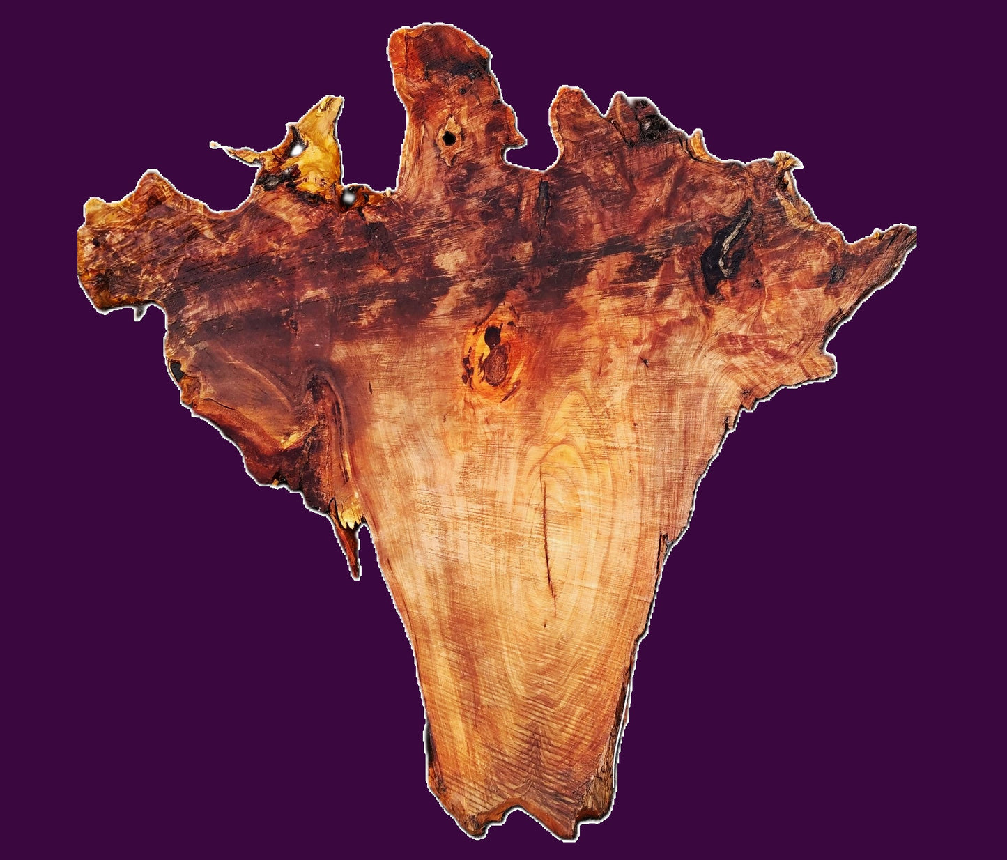 Redwood burl slab | DIY | burl table | burl slab | 21-0228