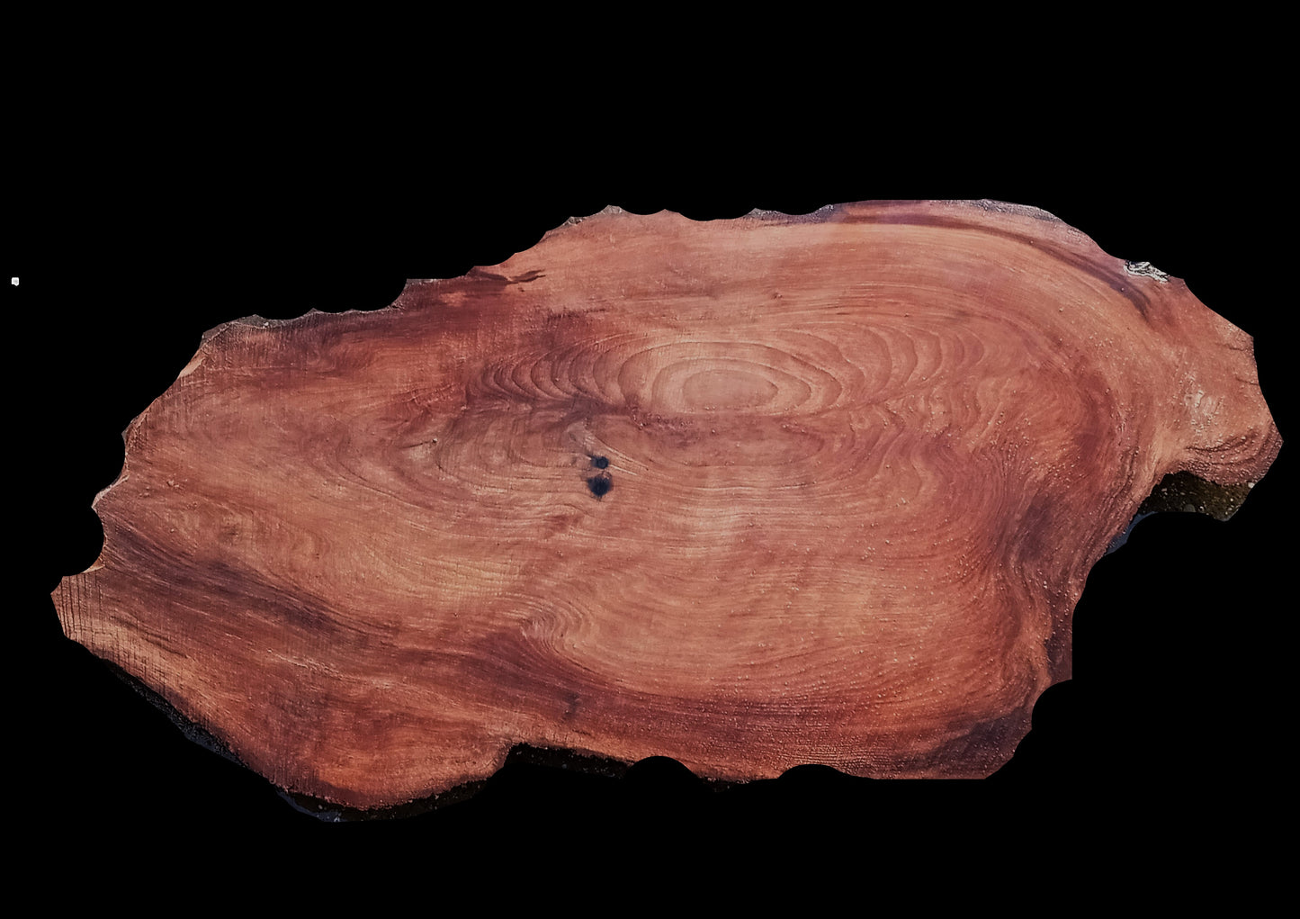 Redwood Slab | DIY Crafts | Burl Slab | Craft Wood | R21-0308
