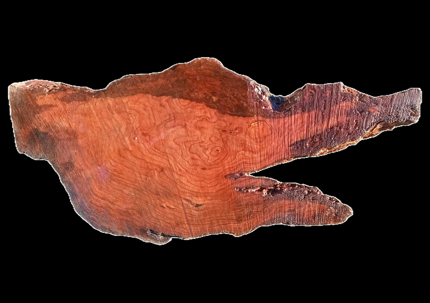 Redwood Slab | DIY Crafts | Burl Slab | Craft Wood | R21-0364