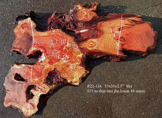 Redwood Slab | River Table | Wall Art | DIY | craft wood | r22-114