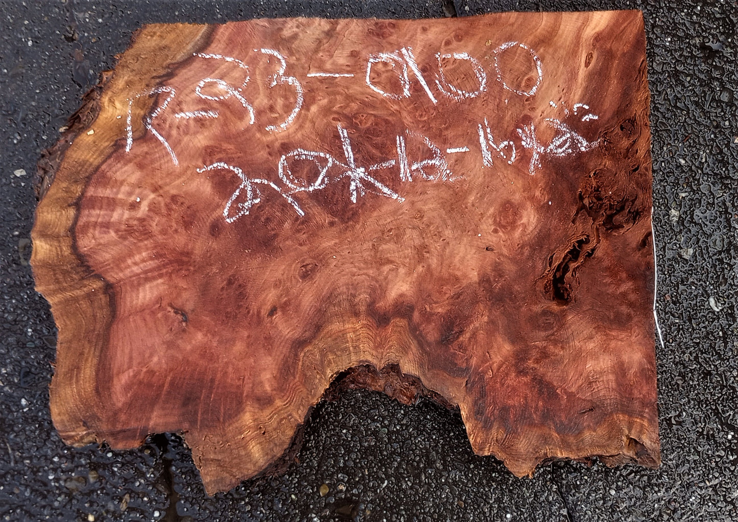 Redwood lace burl | guitar billet | DIY crafts | r23-0100