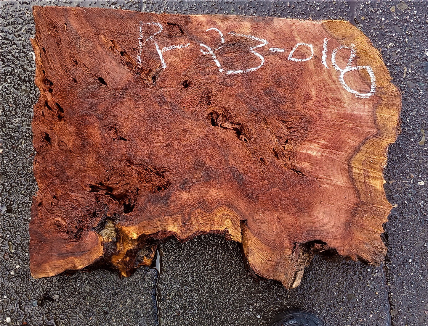 Redwood lace burl | guitar billet | DIY crafts | r23-0100