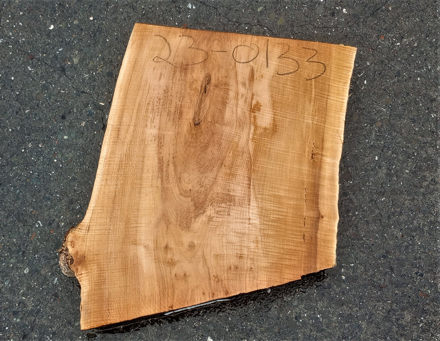curly Maple | guitar blank | DIY crafts | turning | guitar billets | 23-0133 ma