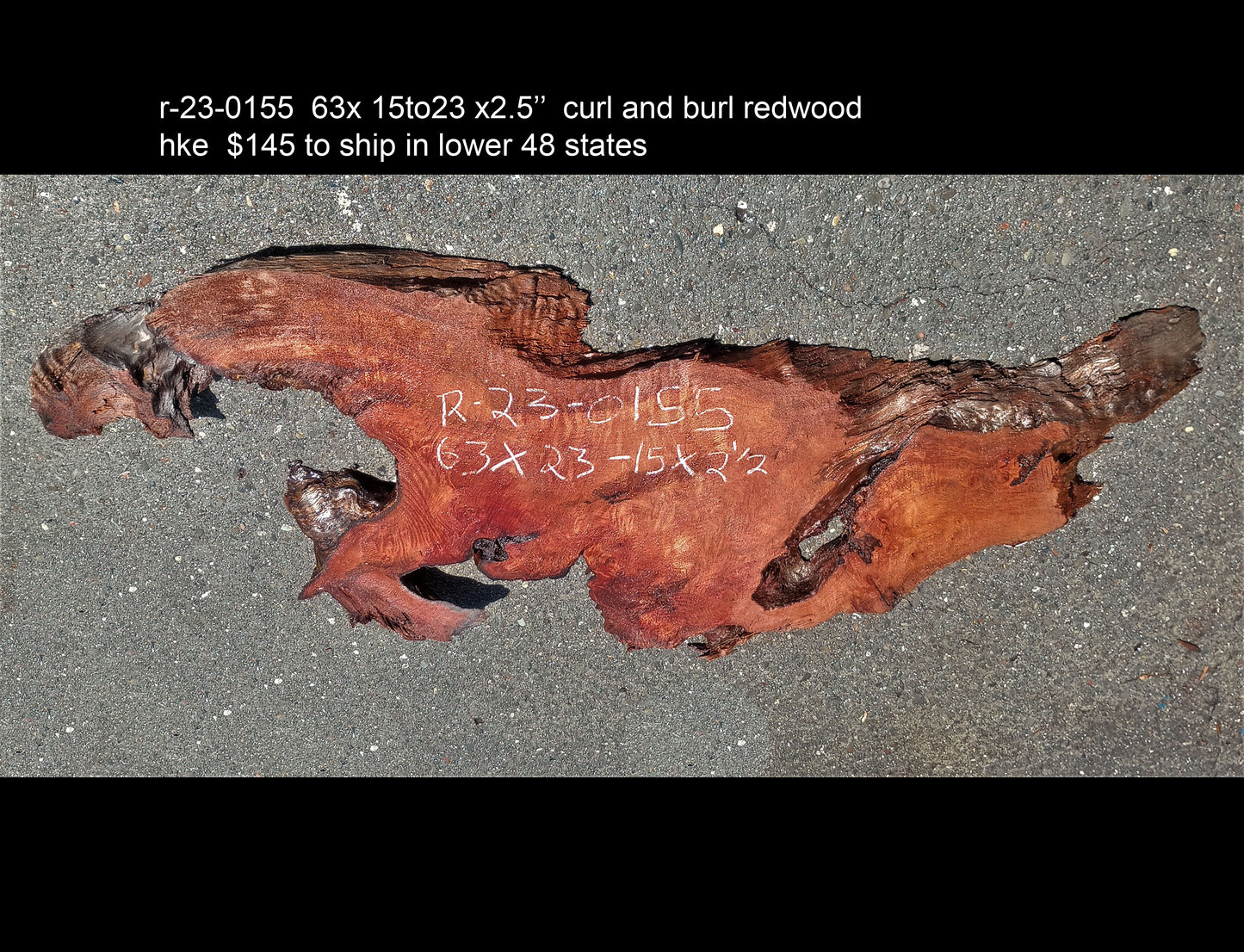 Redwood burl | epoxy river table | DIY wood crafts | burl table | r23-0125