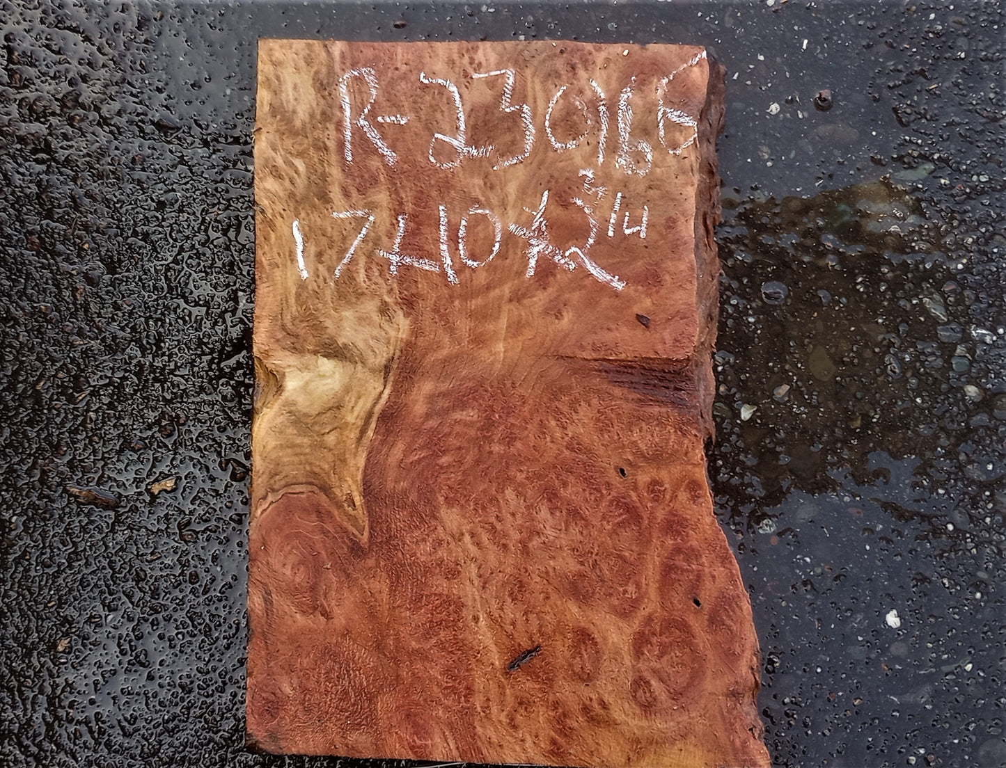 Redwood lace burl | guitar billet | DIY wood crafts | bowl turning | r23-0166