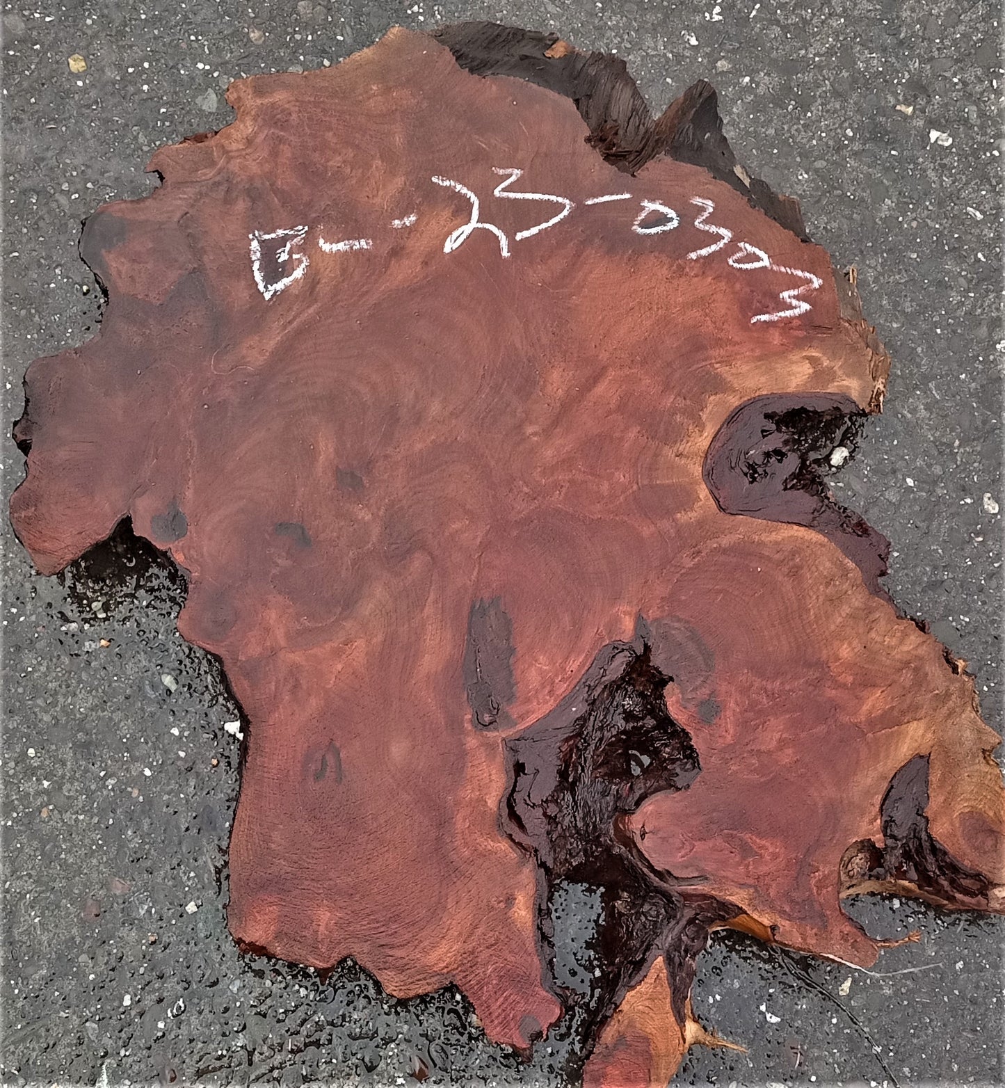 redwood burl blank | exotic wood | wood turning | DIY crafts | rbl23-0303