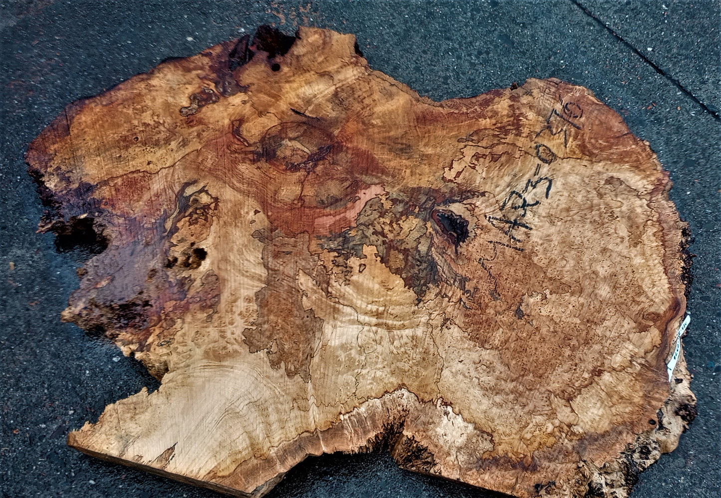 Myrtle burl | burl table | exotic wood | epoxy river table | DIY | mrt23-0375