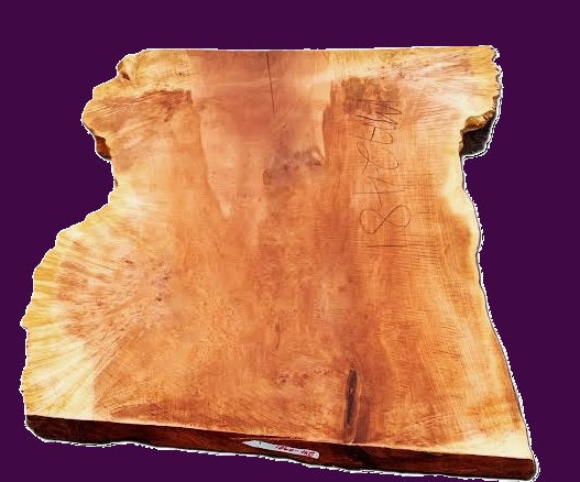 Live Edge | Maple Burl Slab | DIY | river table | ma2481