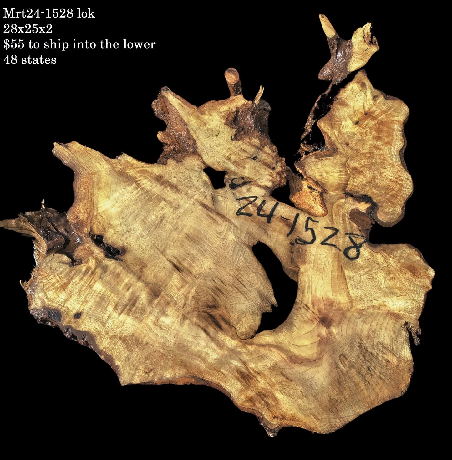 Myrtle Wood | Burl slab | Epoxy River Table | DIY Wood | Mrt24-1528