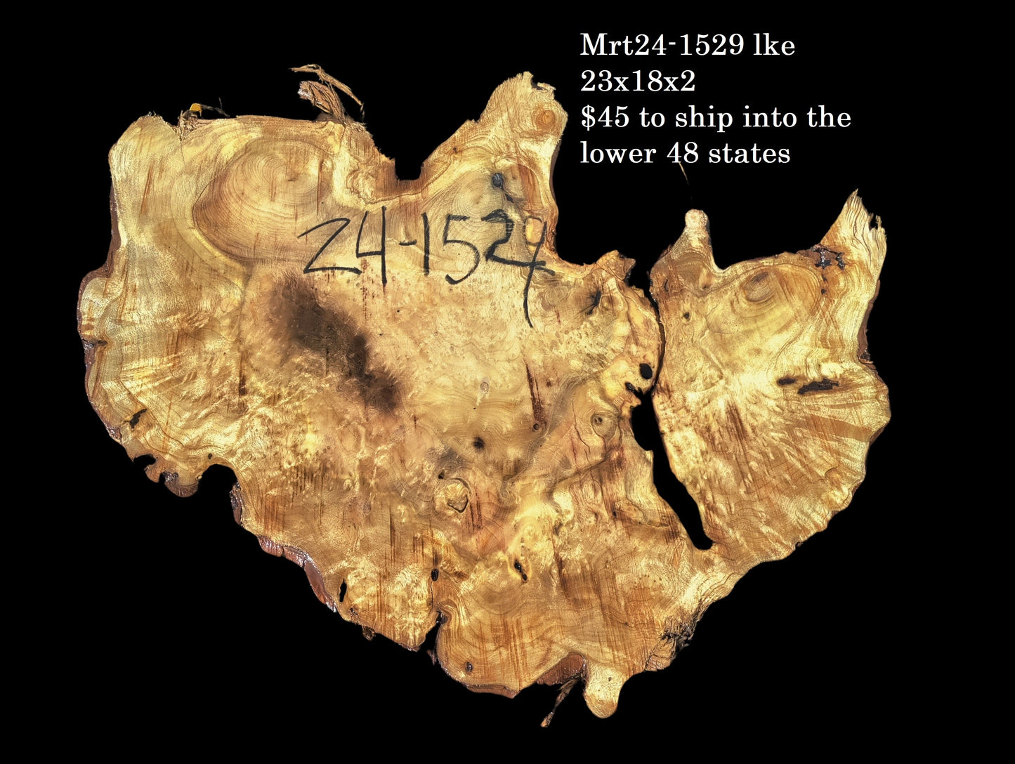 Myrtle Wood | Burl slab | Epoxy River Table | DIY Wood | Mrt24-1529
