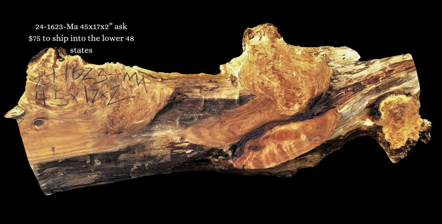 Maple burl | live edge slab | DIY craft ideas | River Table | 24-1623-Ma