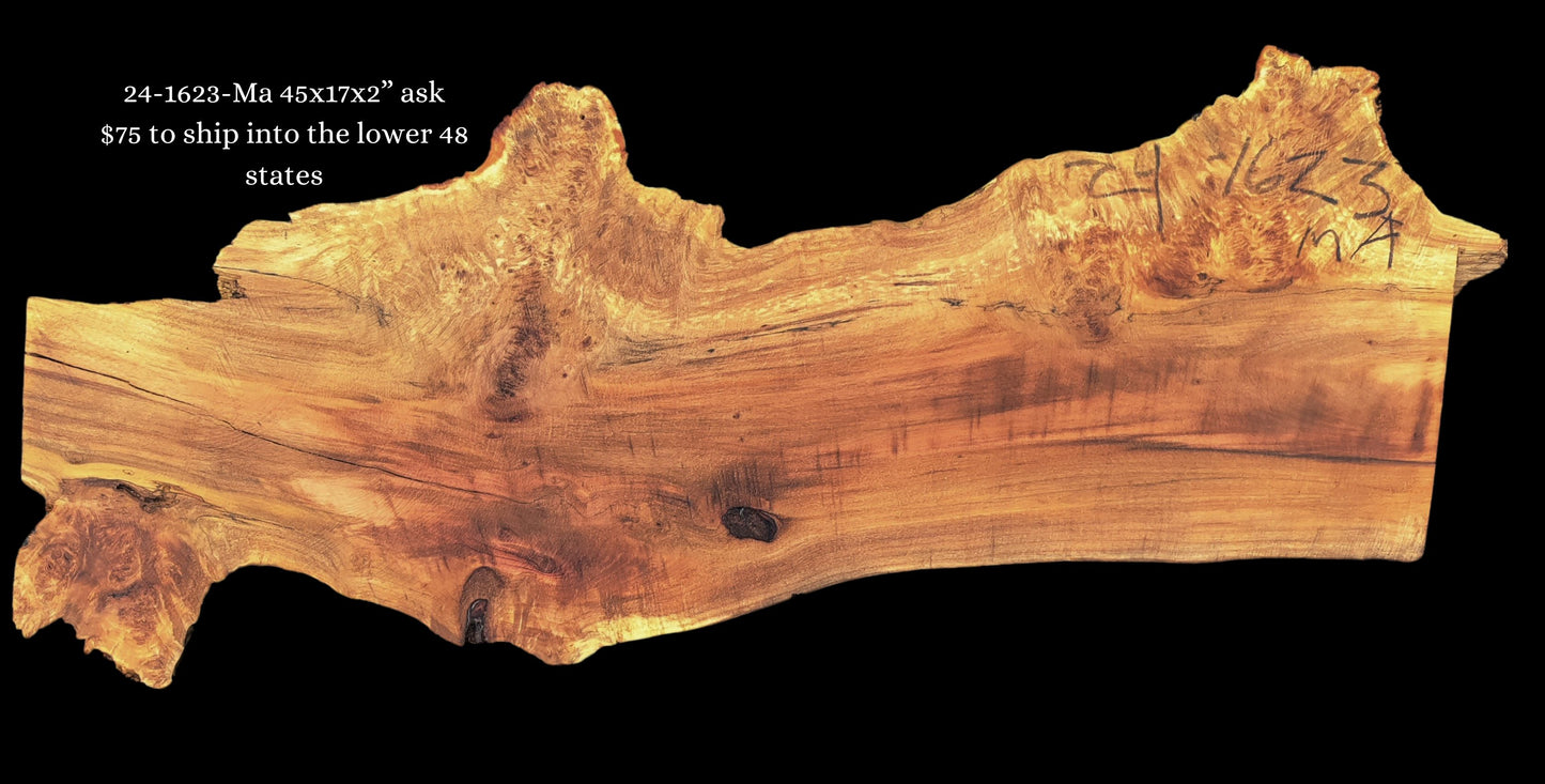 Maple burl | live edge slab | DIY craft ideas | River Table | 24-1623-Ma