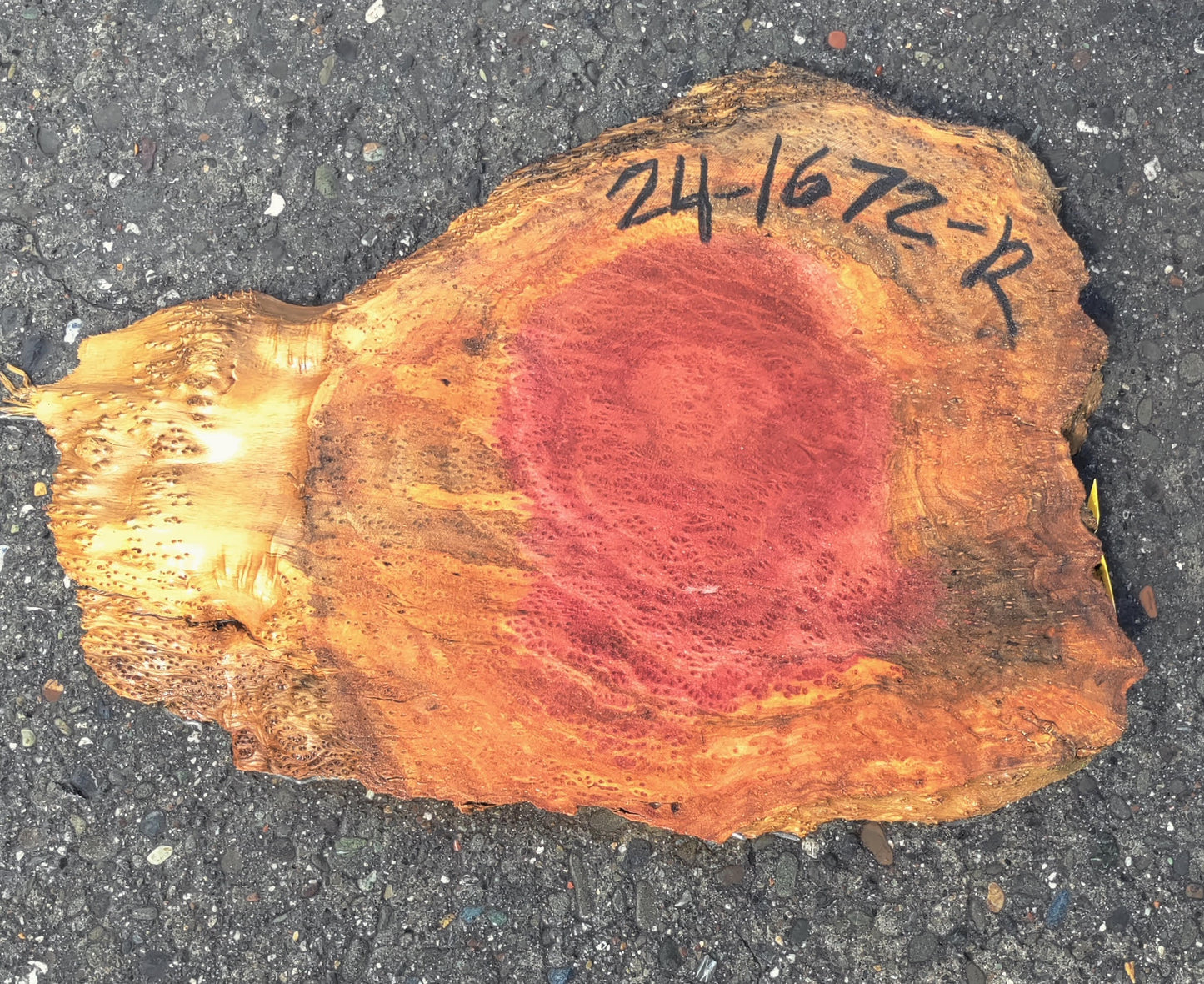 Redwood slab | Redwood Burl | Craft Wood | DIY | R24-1672