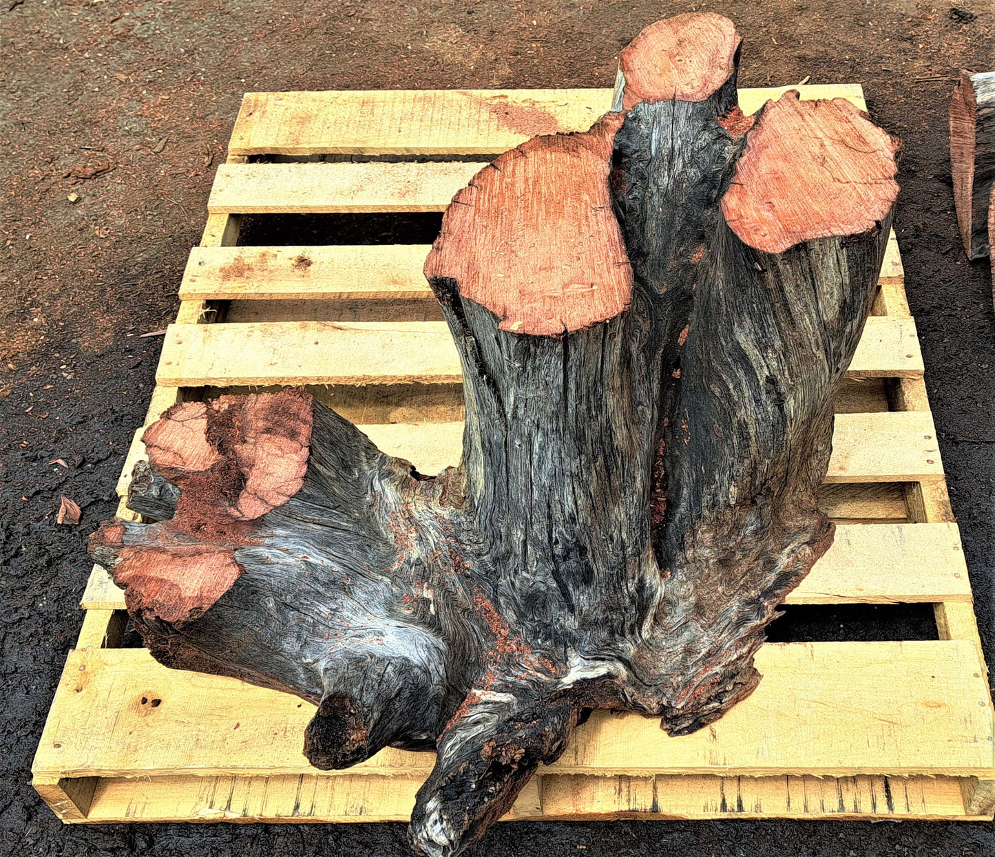 burl table base | Redwood base | split level base | 2 tear base | two level base