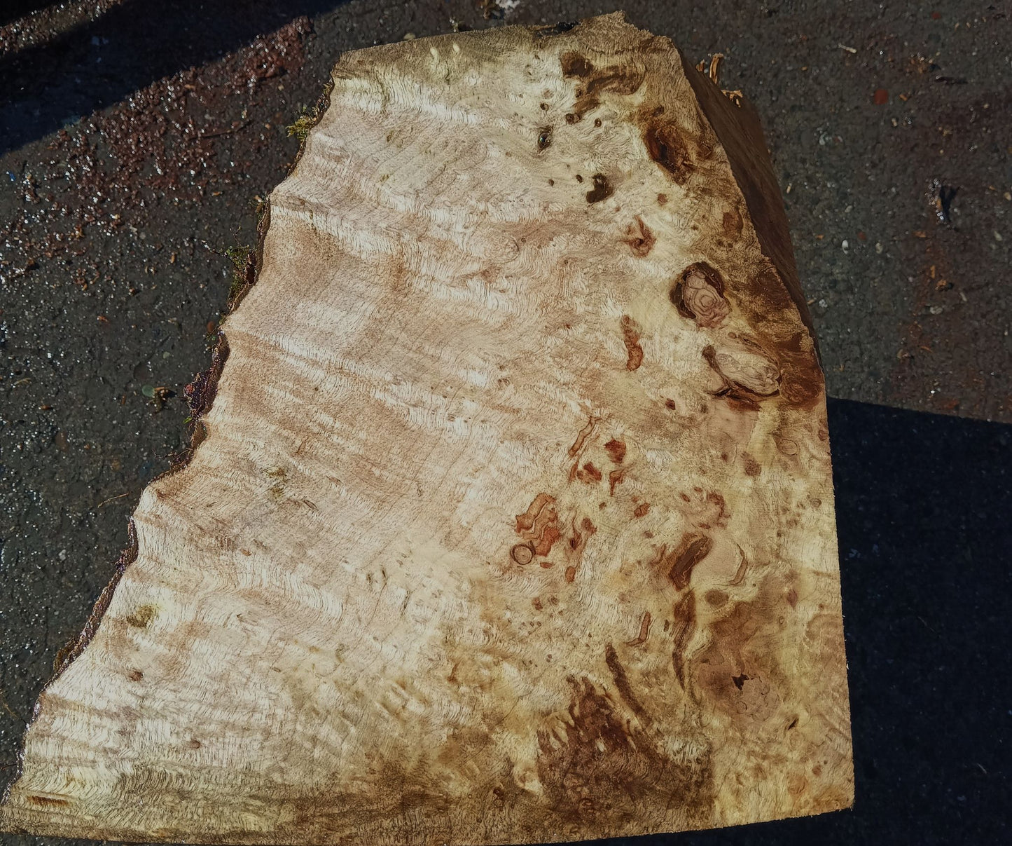 Myrtle Burl | Craft Wood | Bowl Turning | Mrt24-1788