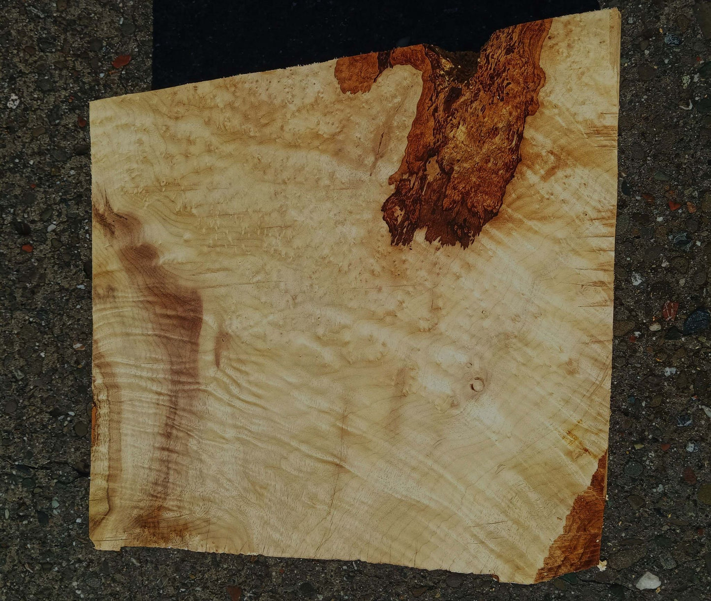 Myrtle Burl | Craft Wood | Bowl Turning | Mrt24-1793