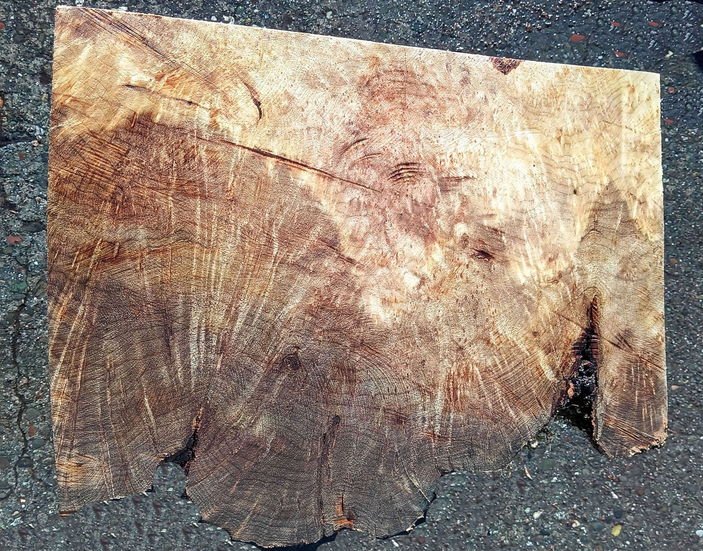 Myrtle Burl | Craft Wood | Bowl Turning | Mrt24-1788