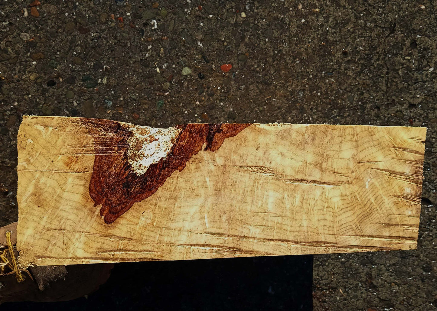 Myrtle Burl | Craft Wood | Bowl Turning | Mrt24-1793